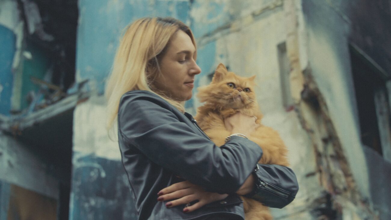 Us, our pets and the war
